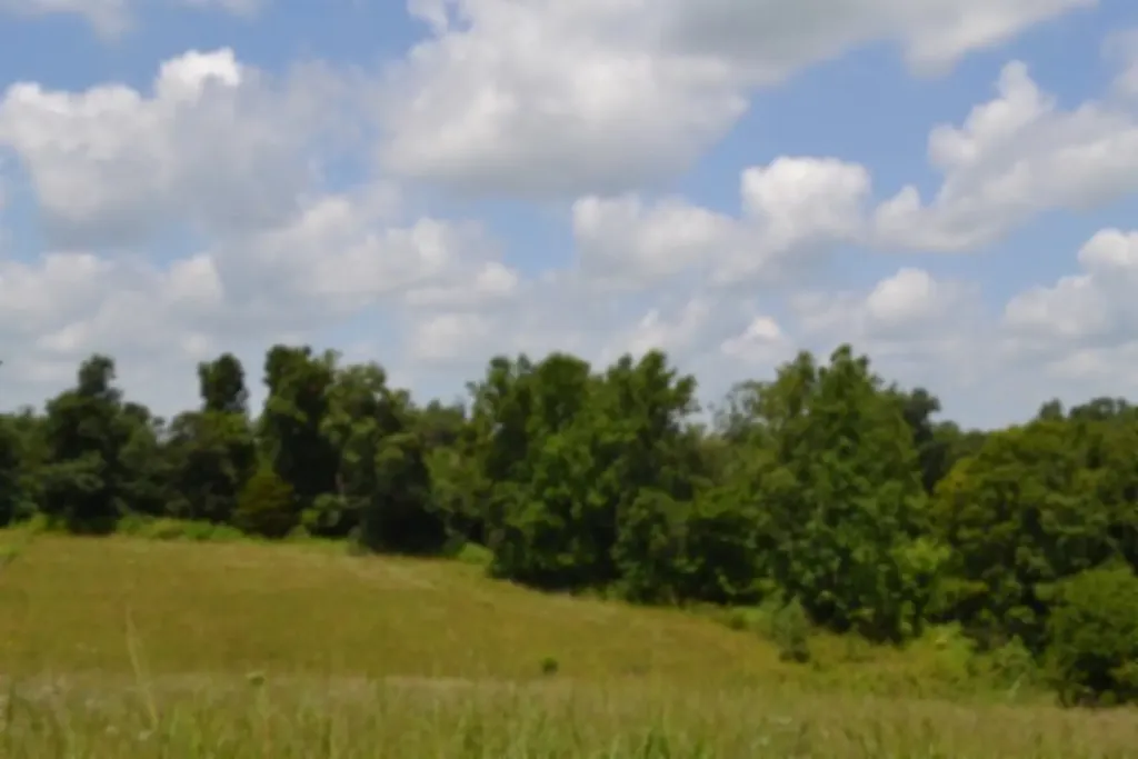 Lot 10 Rose Hill Road Red Boiling Springs TN 37150