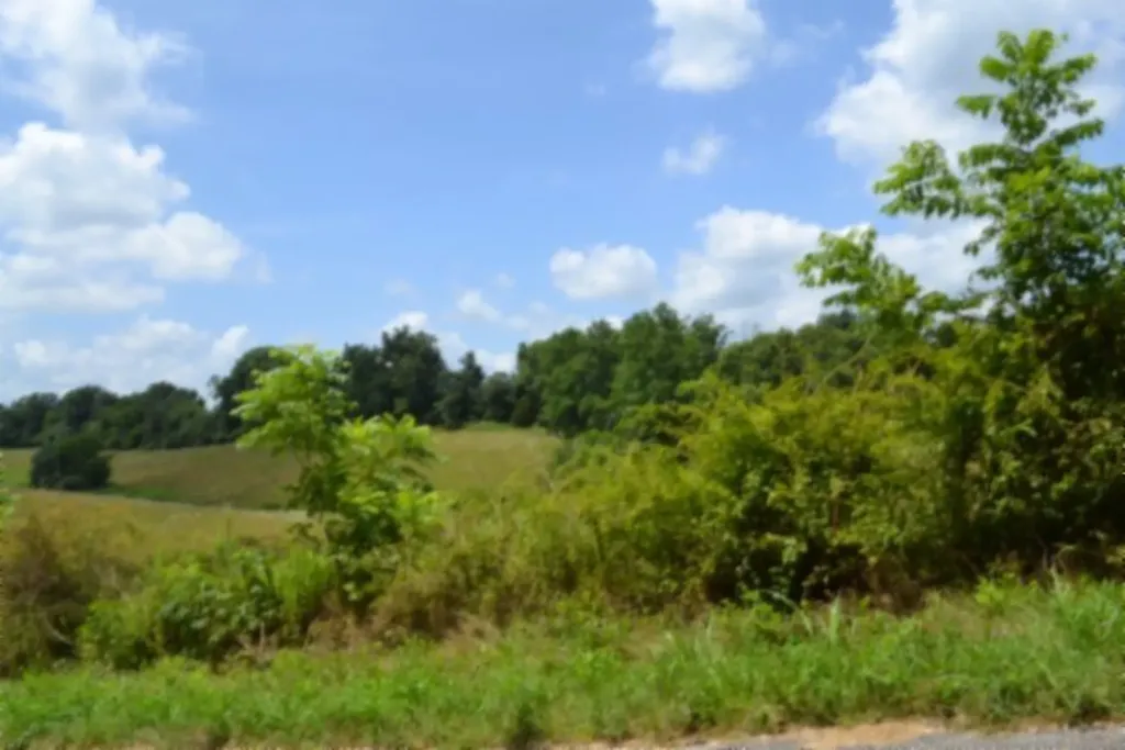 Lot 10 Rose Hill Road Red Boiling Springs TN 37150