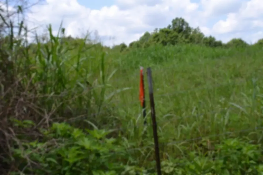 Lot 10 Rose Hill Road Red Boiling Springs TN 37150