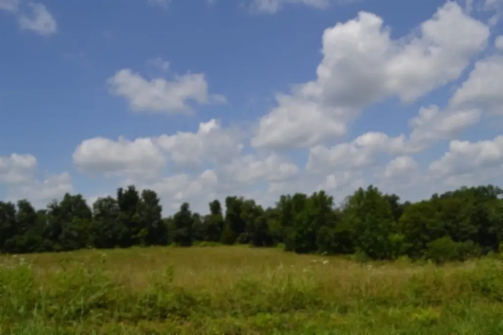 Lot 10 Rose Hill Road Red Boiling Springs TN 37150