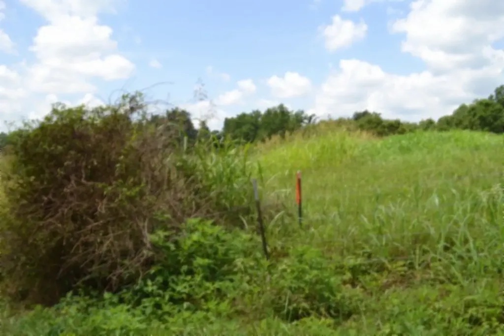 Lot 10 Rose Hill Road Red Boiling Springs TN 37150