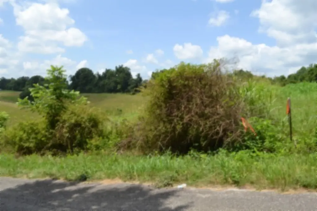 Lot 10 Rose Hill Road Red Boiling Springs TN 37150