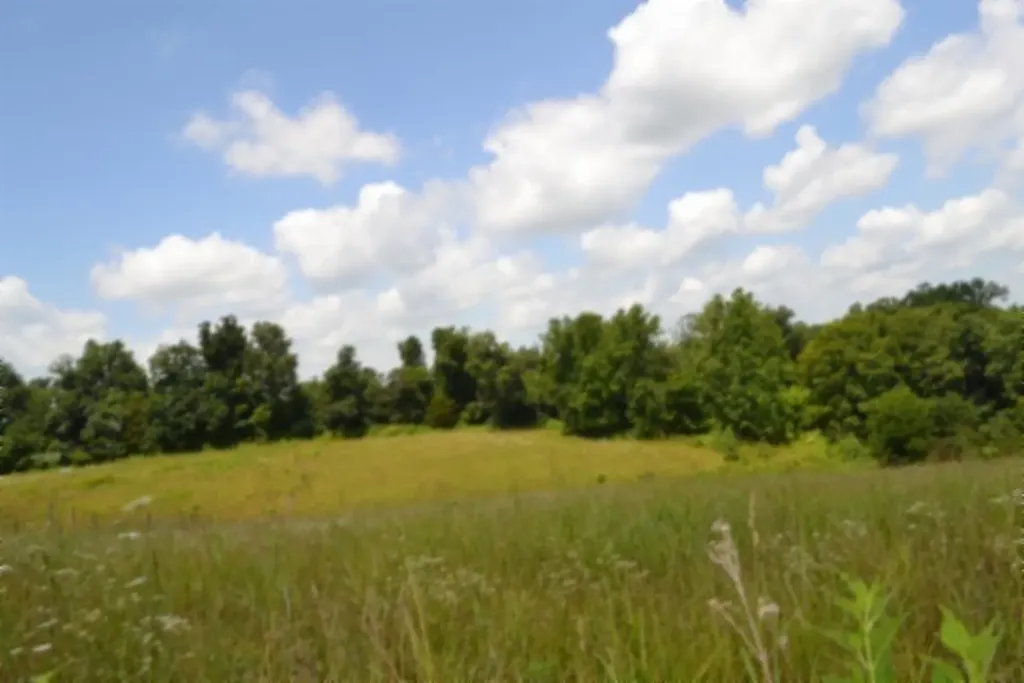 Lot 10 Rose Hill Road Red Boiling Springs TN 37150