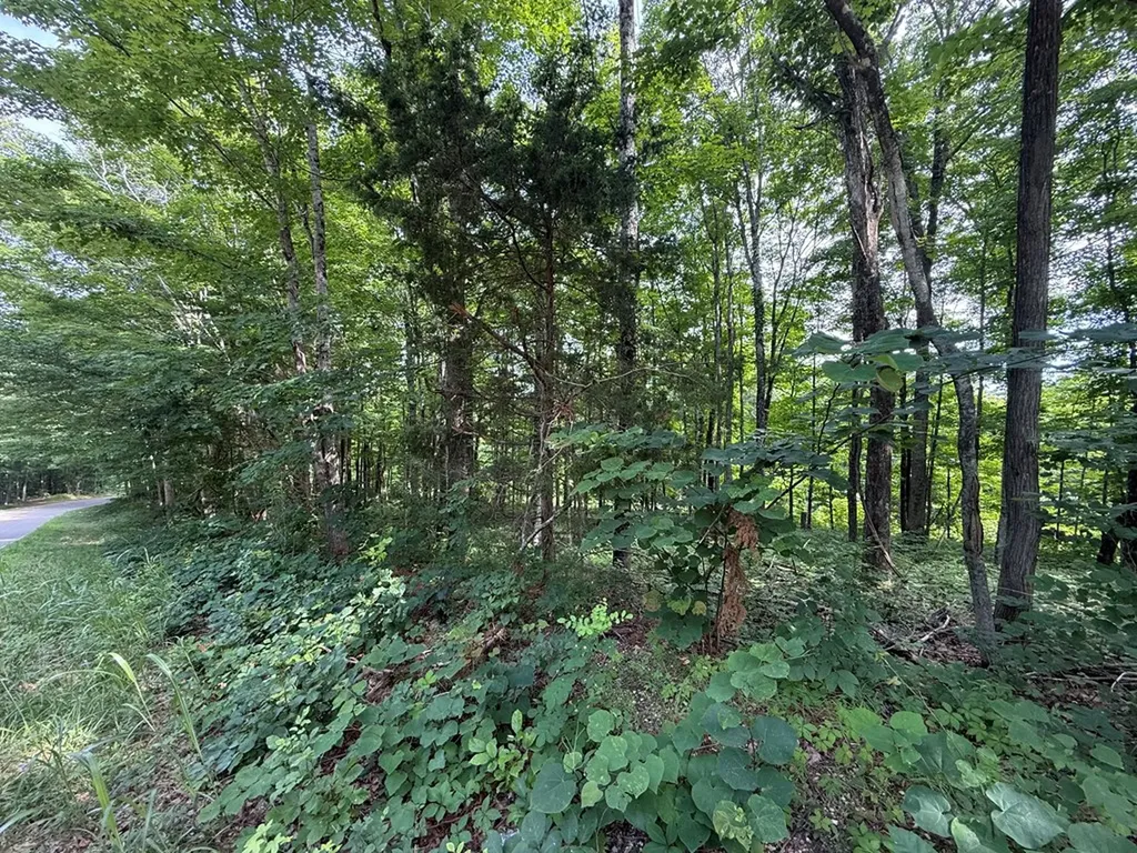 0 Rocky Point Road Cookeville TN 38506