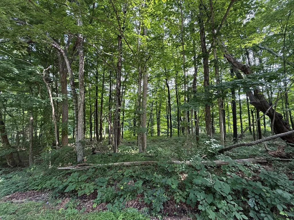 0 Rocky Point Road Cookeville TN 38506