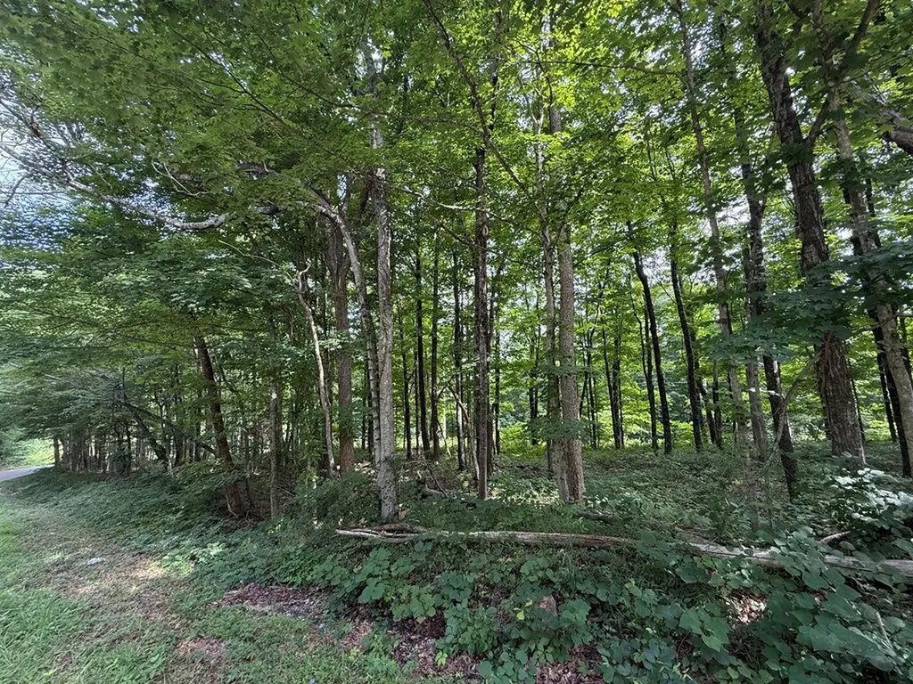 0 Rocky Point Road Cookeville TN 38506