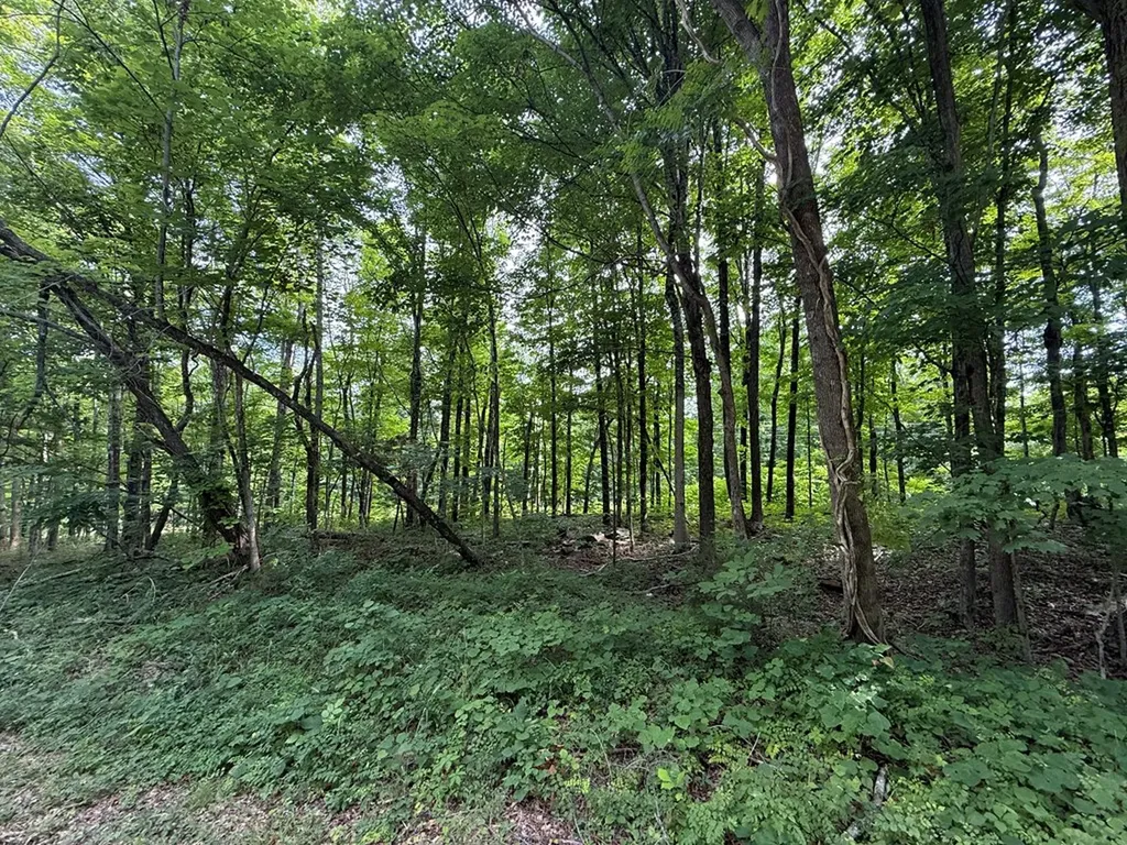 0 Rocky Point Road Cookeville TN 38506