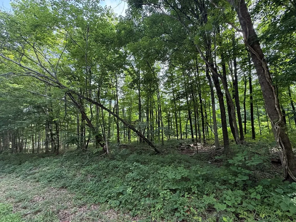 0 Rocky Point Road Cookeville TN 38506