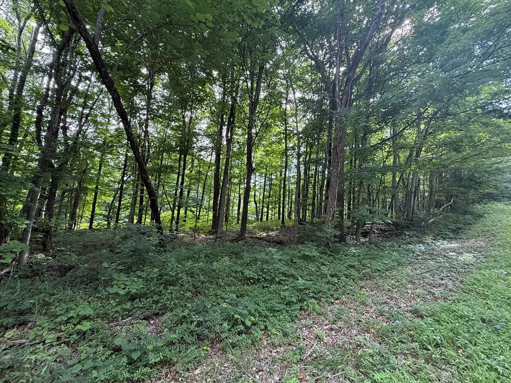 0 Rocky Point Road Cookeville TN 38506