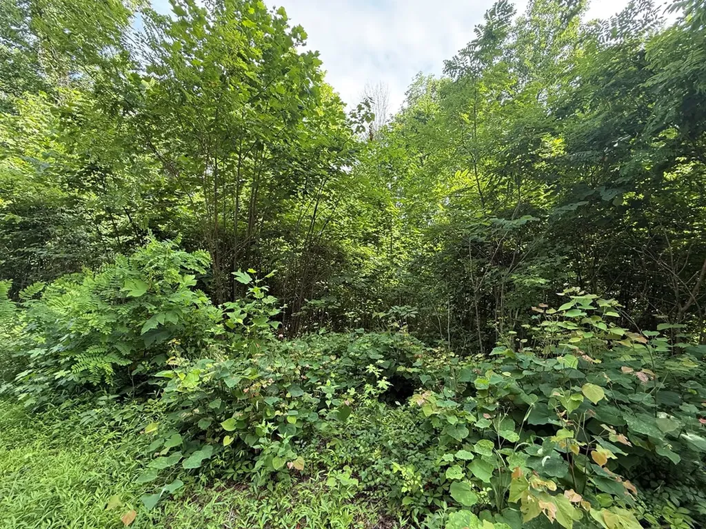 0 Rocky Point Road Cookeville TN 38506