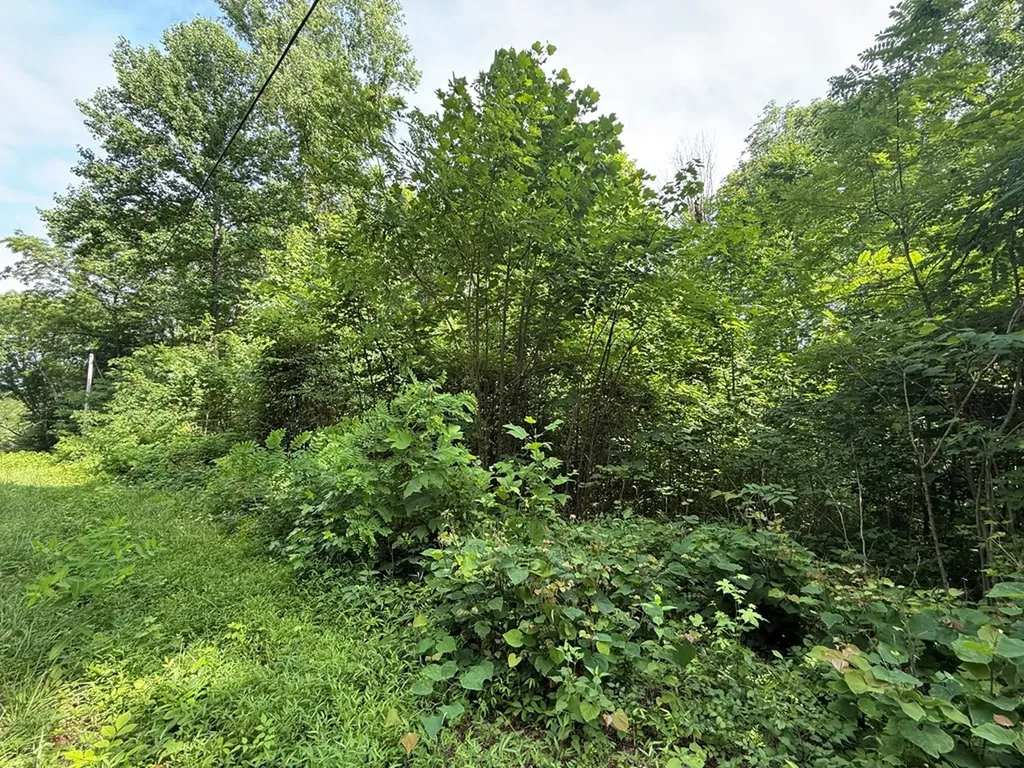 0 Rocky Point Road Cookeville TN 38506