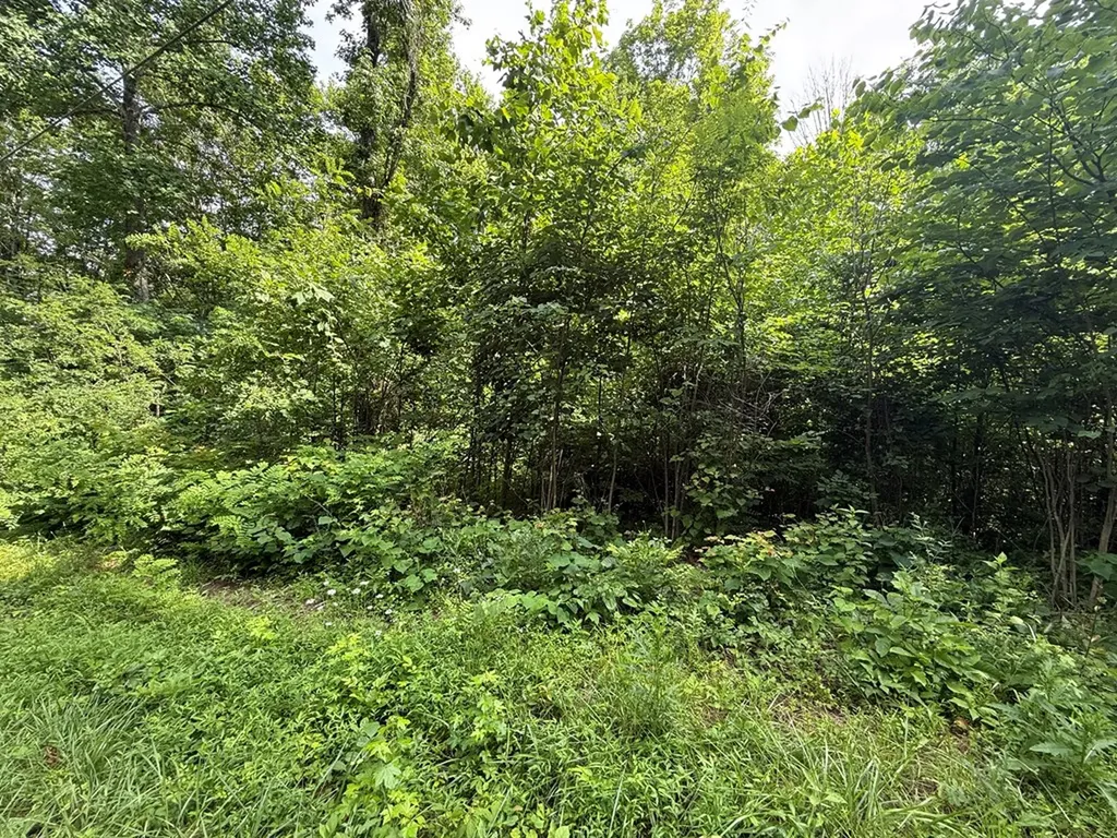0 Rocky Point Road Cookeville TN 38506