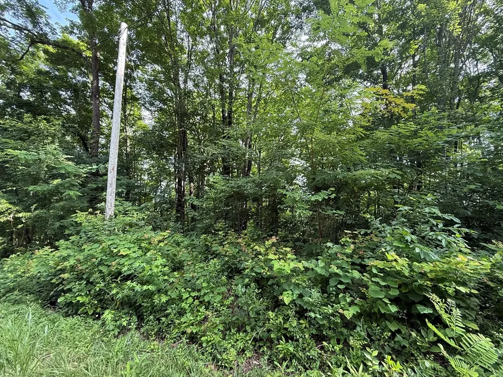 0 Rocky Point Road Cookeville TN 38506
