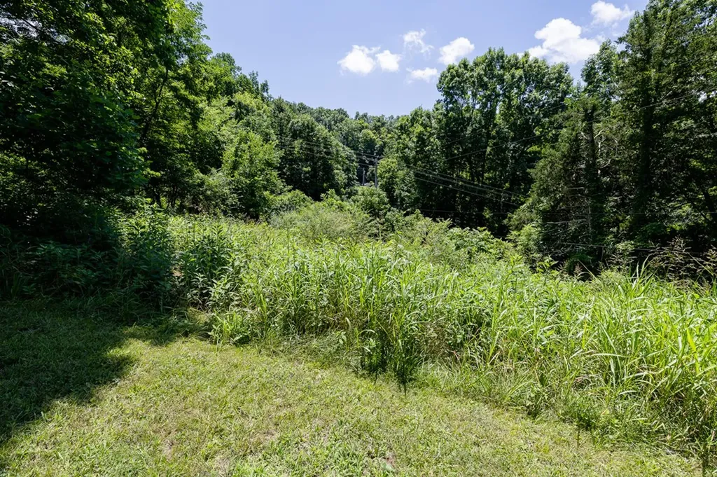 170 Coys Cove Lane Gainesboro TN 38562