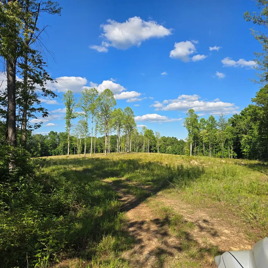 94.4 Ac Red Hill Road Sunbright TN 37872
