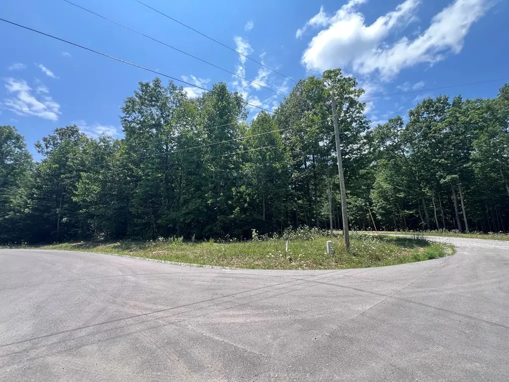 Lot 202 Elzies Way Grimsley TN 38565