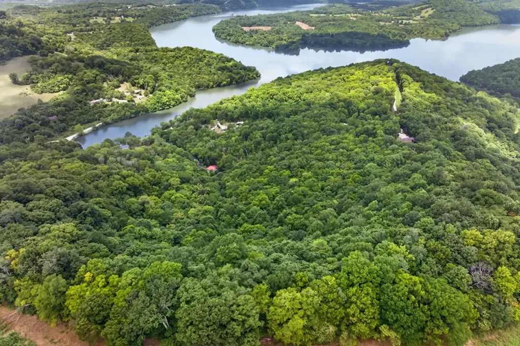 20 Magee Lane Elmwood TN 38560