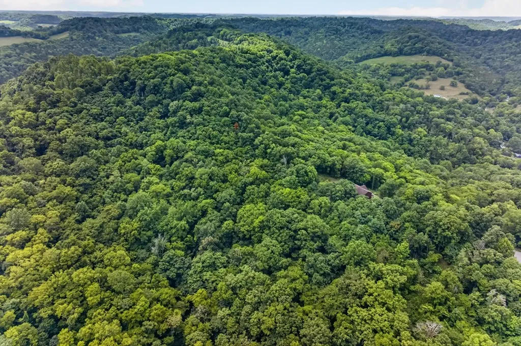 20 Magee Lane Elmwood TN 38560