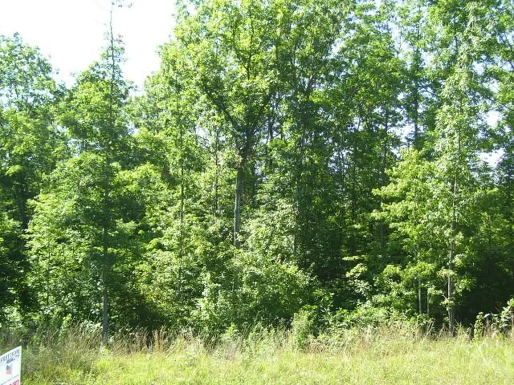 Lot 384 East Obey Lane Wilder TN 38589