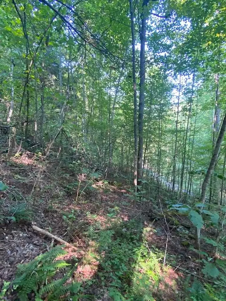 Lot 383 East Obey Lane Wilder TN 38589