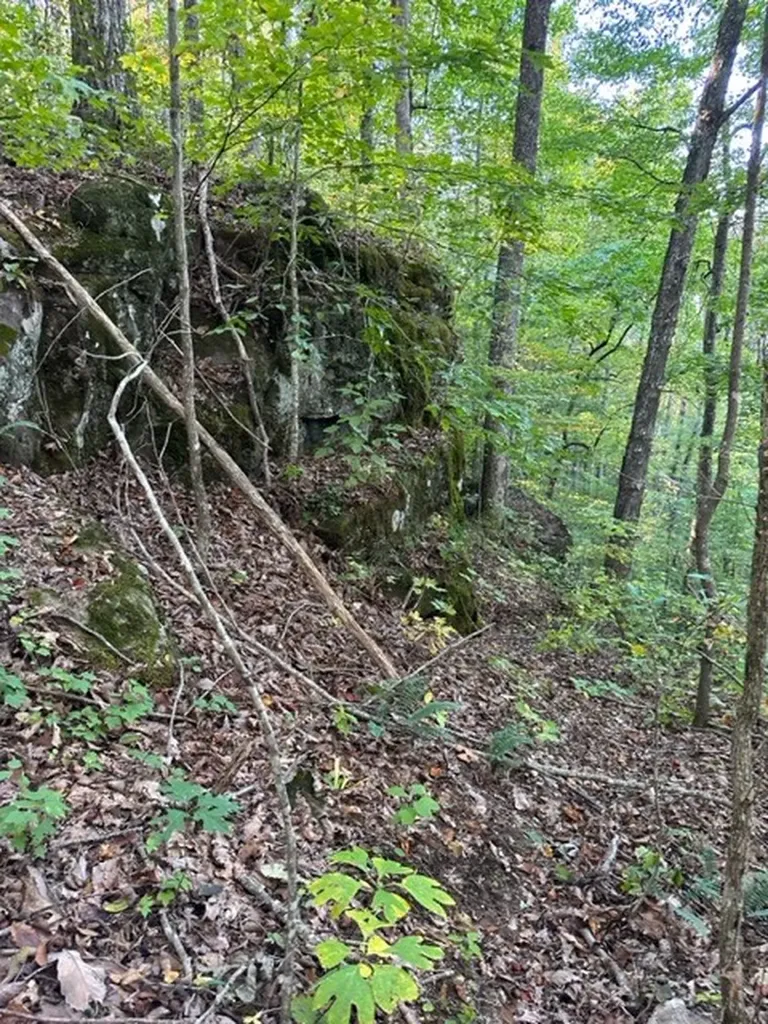 Lot 383 East Obey Lane Wilder TN 38589