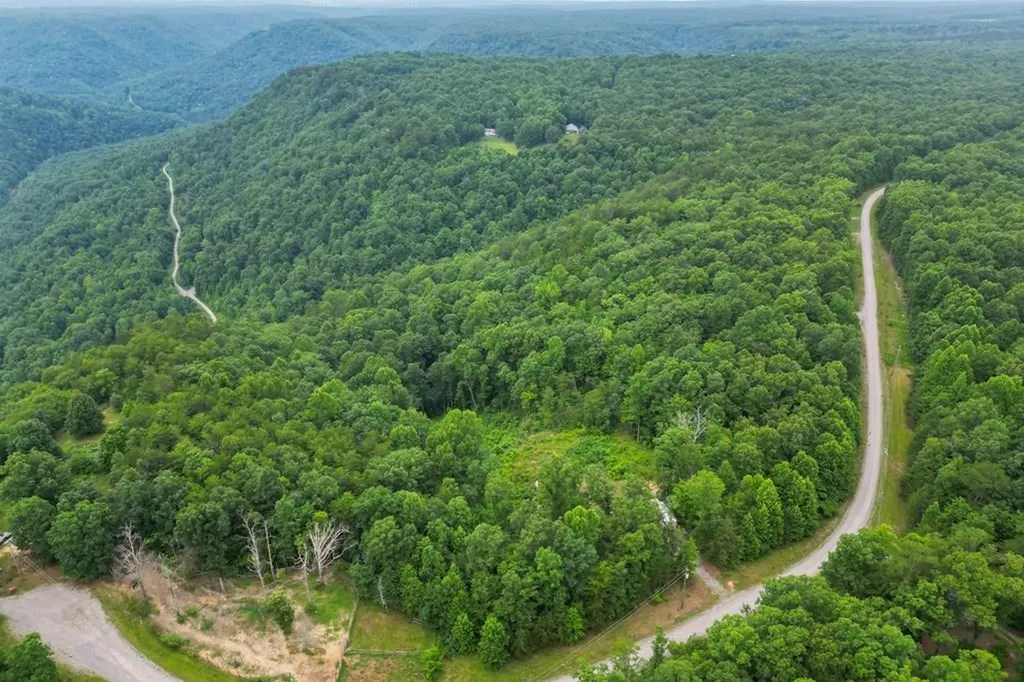 722 Flat Top View Lane Wilder TN 38589