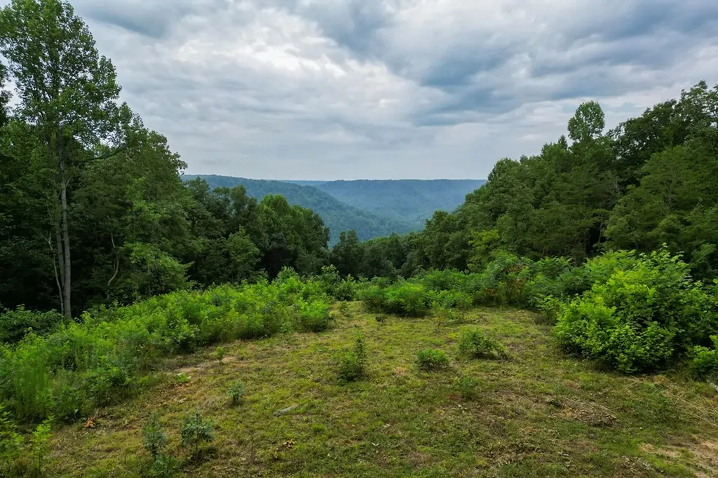 722 Flat Top View Lane Wilder TN 38589