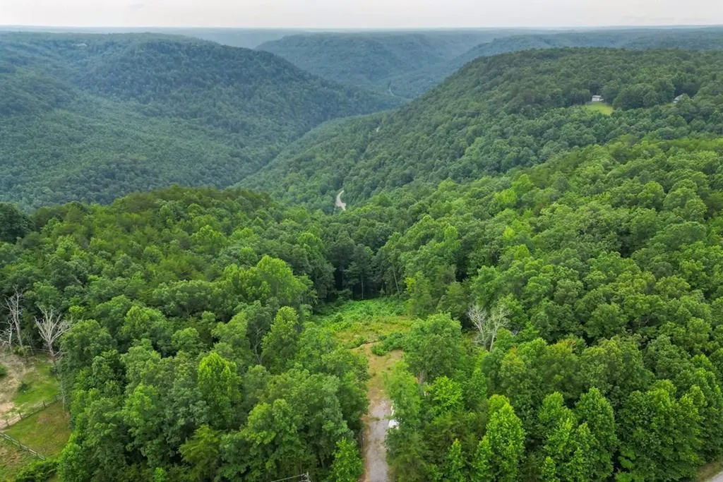 722 Flat Top View Lane Wilder TN 38589