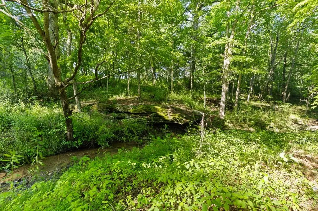 2540 N Gatewood Ford Road Deer Lodge TN 37726