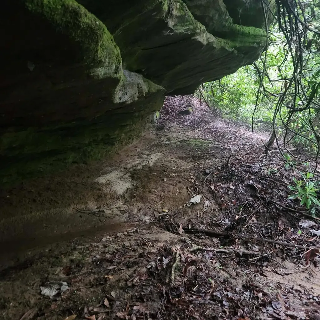 186 Crockett Cemetery Road Jamestown TN 38556