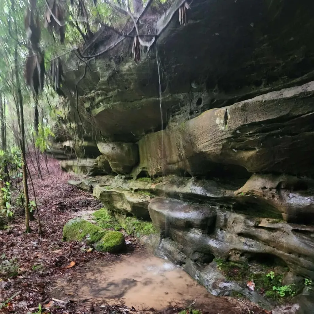 186 Crockett Cemetery Road Jamestown TN 38556