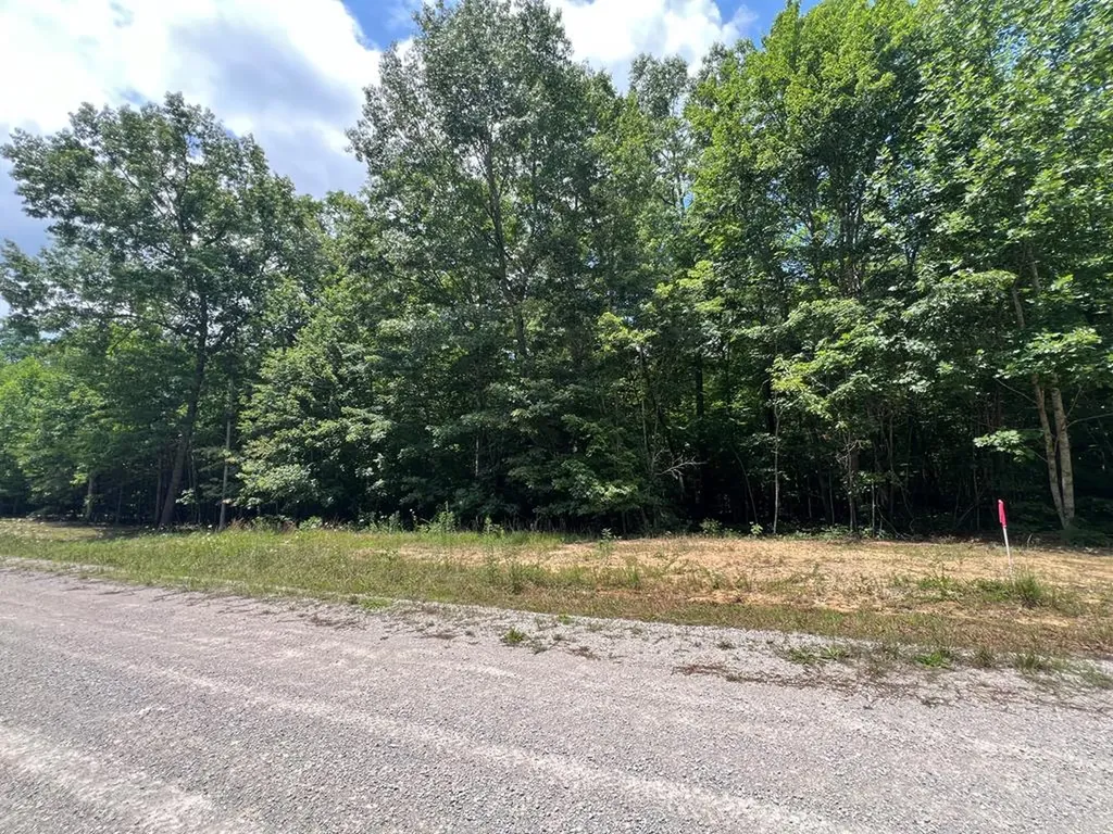 Lot 216 Hargis Road Grimsley TN 38565