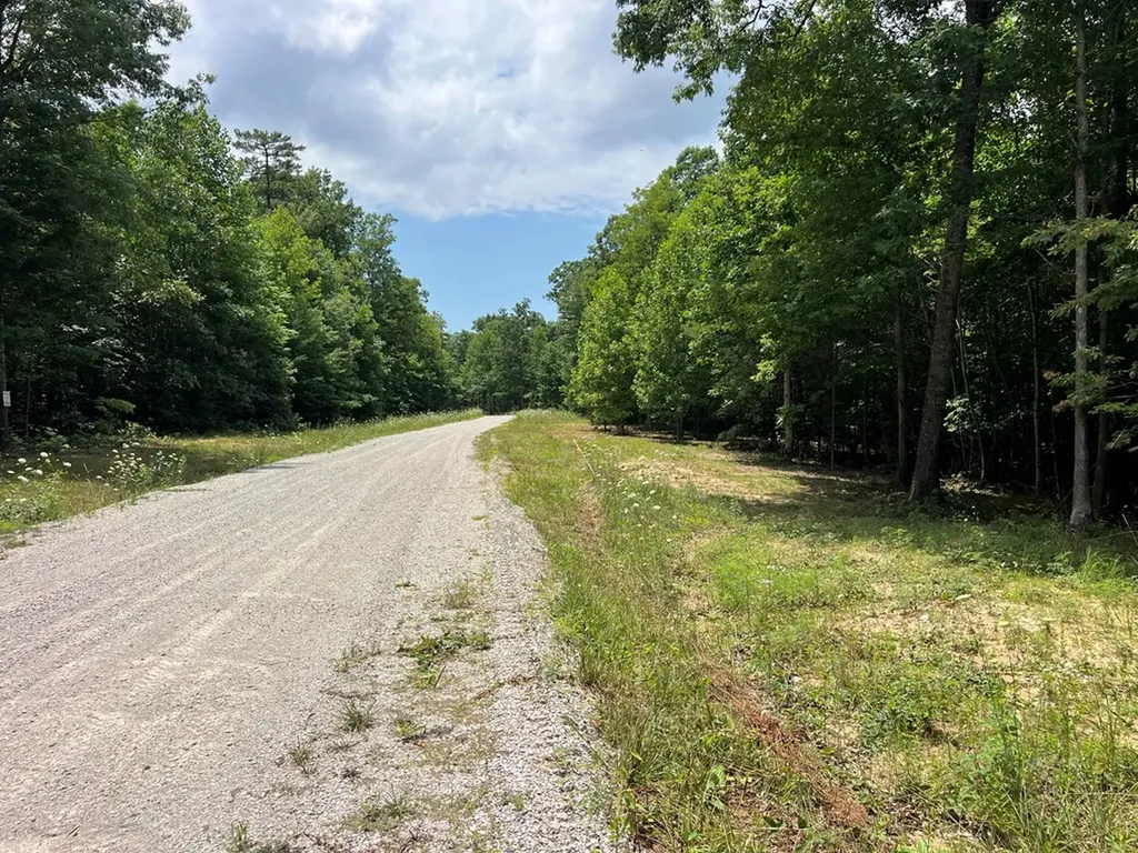 Lot 216 Hargis Road Grimsley TN 38565