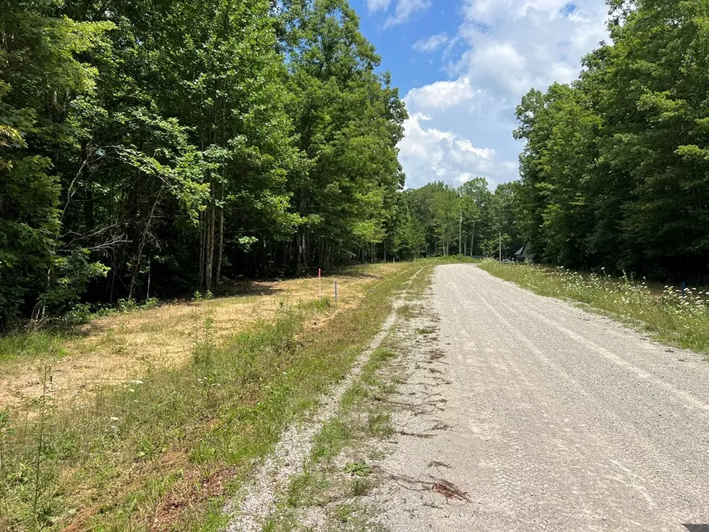 Lot 216 Hargis Road Grimsley TN 38565