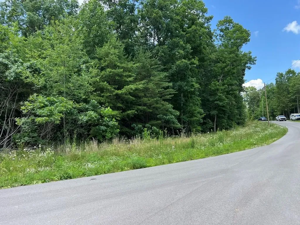 Lot 201 Elzies Way Grimsley TN 38565