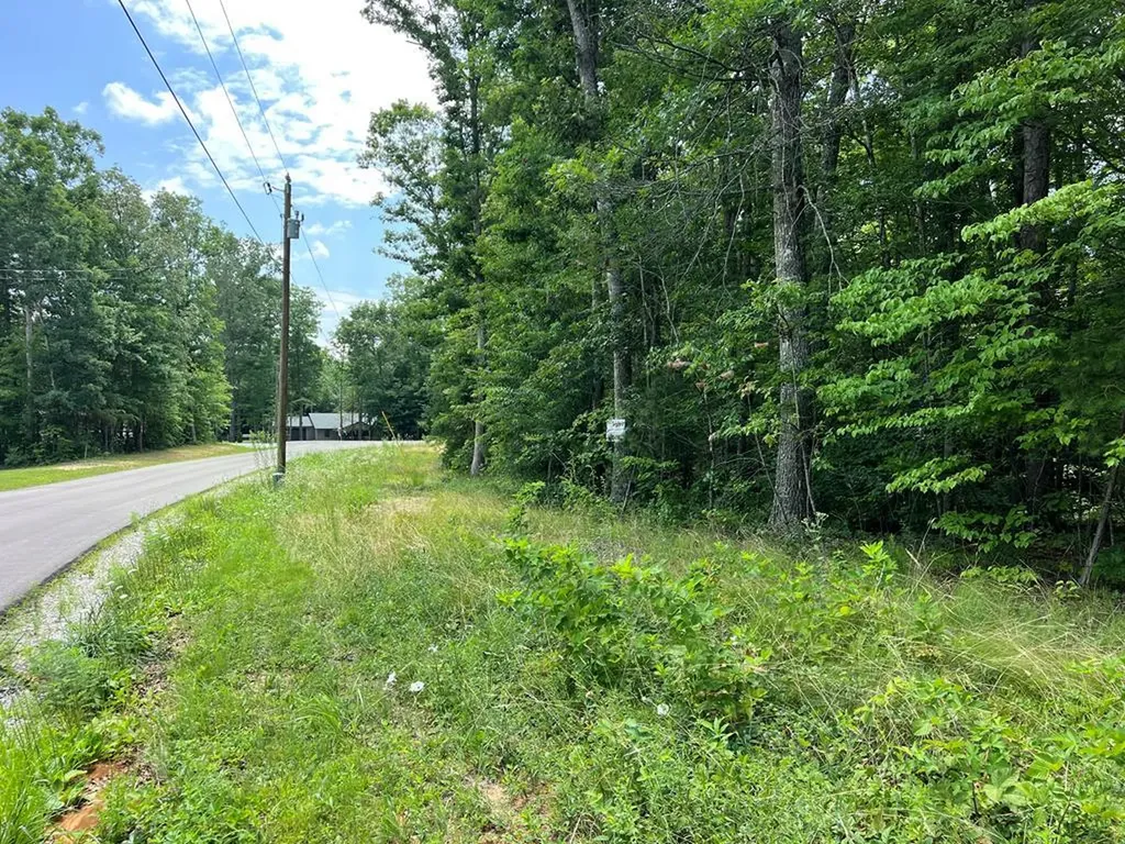 Lot 201 Elzies Way Grimsley TN 38565