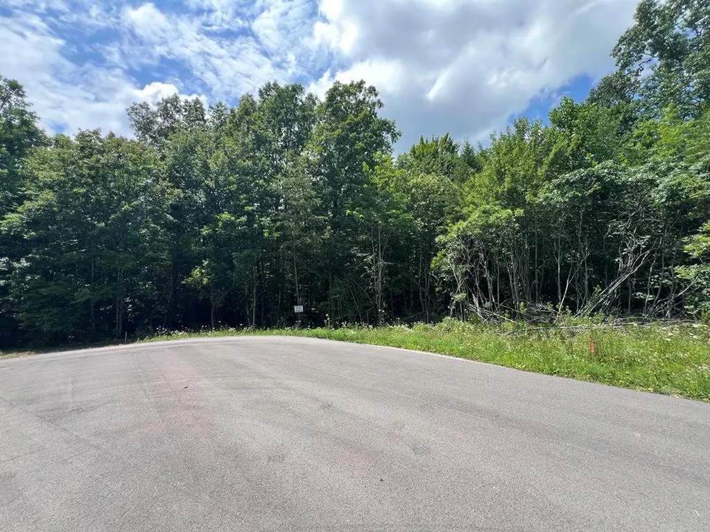 Lot 200 Elzies Way Grimsley TN 38565