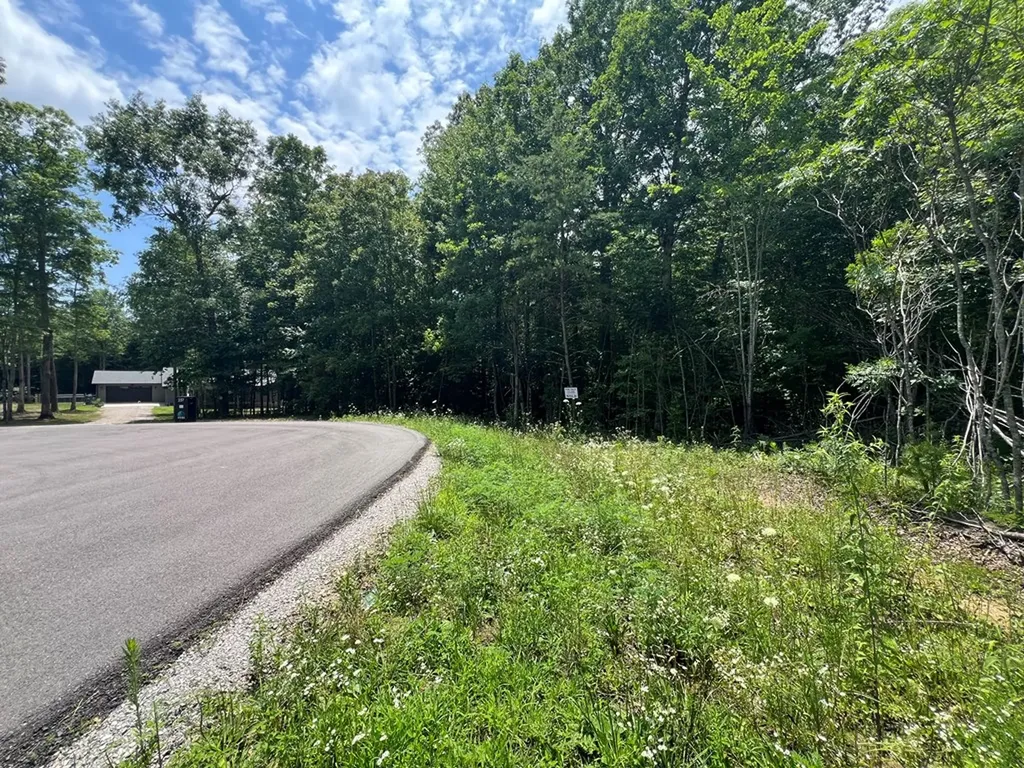 Lot 200 Elzies Way Grimsley TN 38565