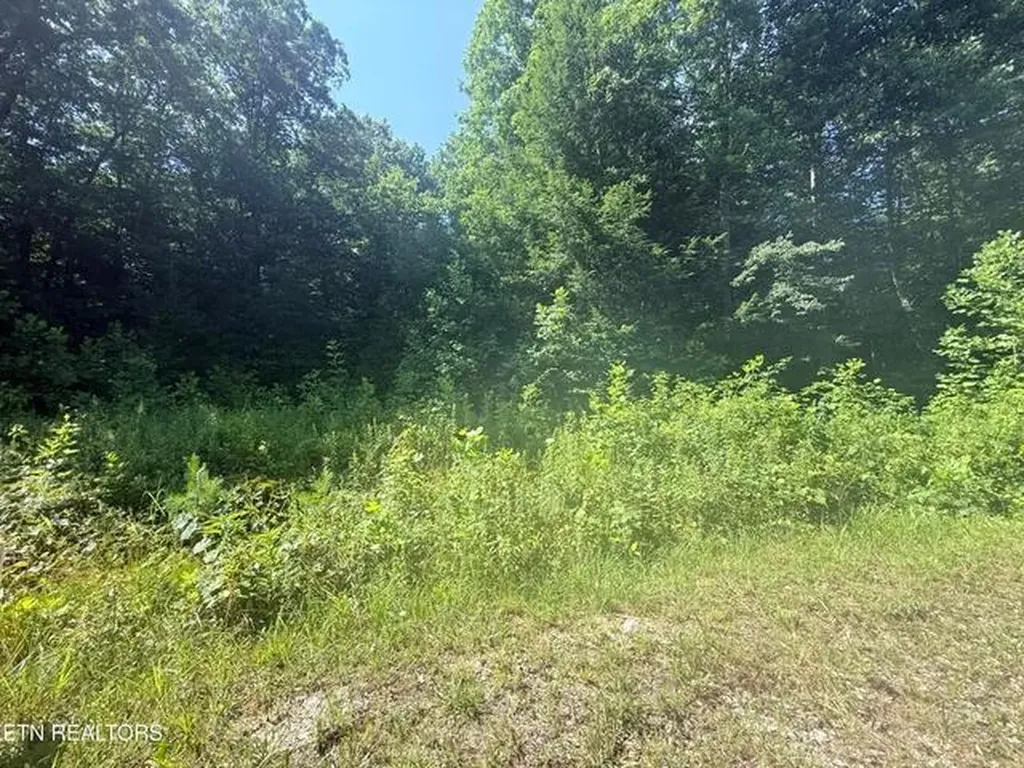 760 Dubose Drive Jamestown TN 38556