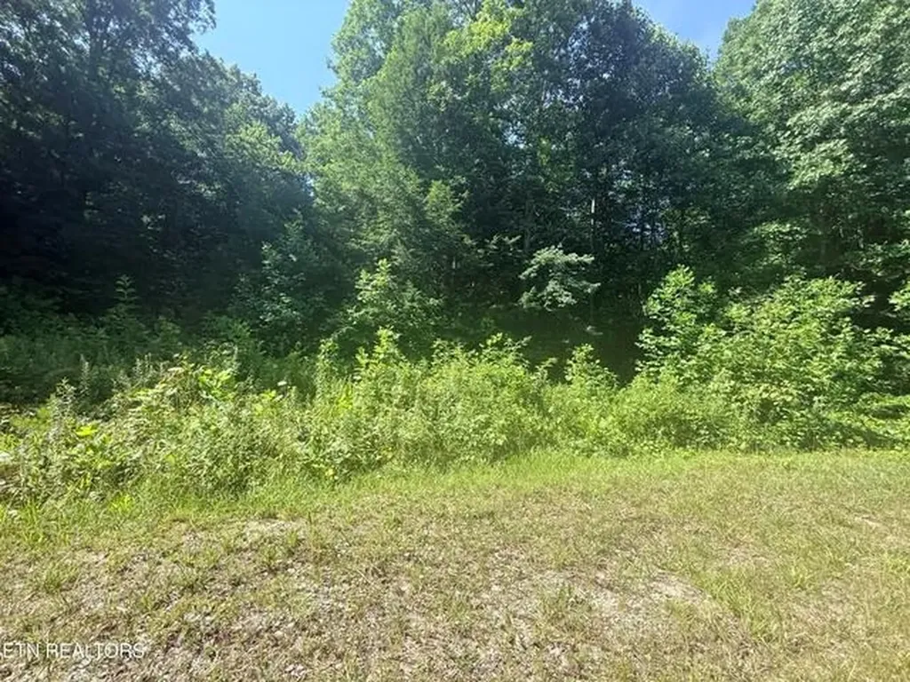 760 Dubose Drive Jamestown TN 38556