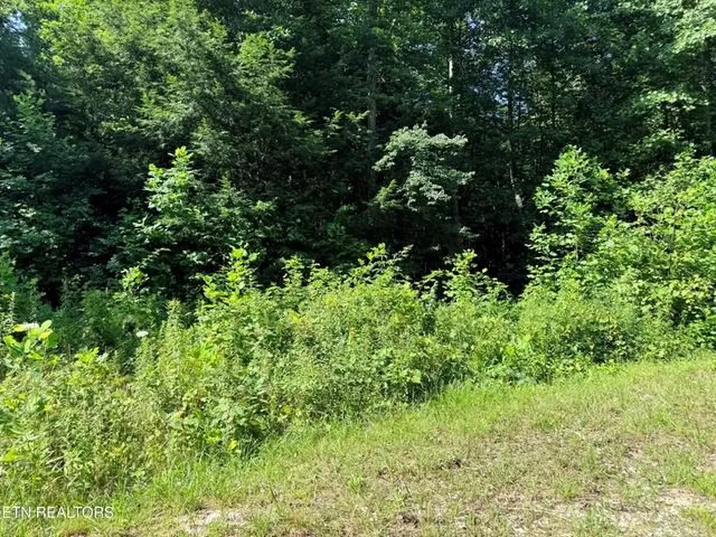 760 Dubose Drive Jamestown TN 38556