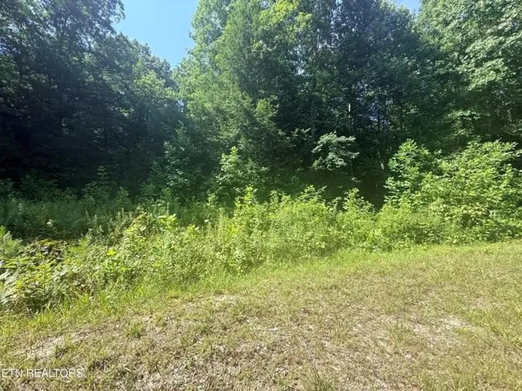 760 Dubose Drive Jamestown TN 38556