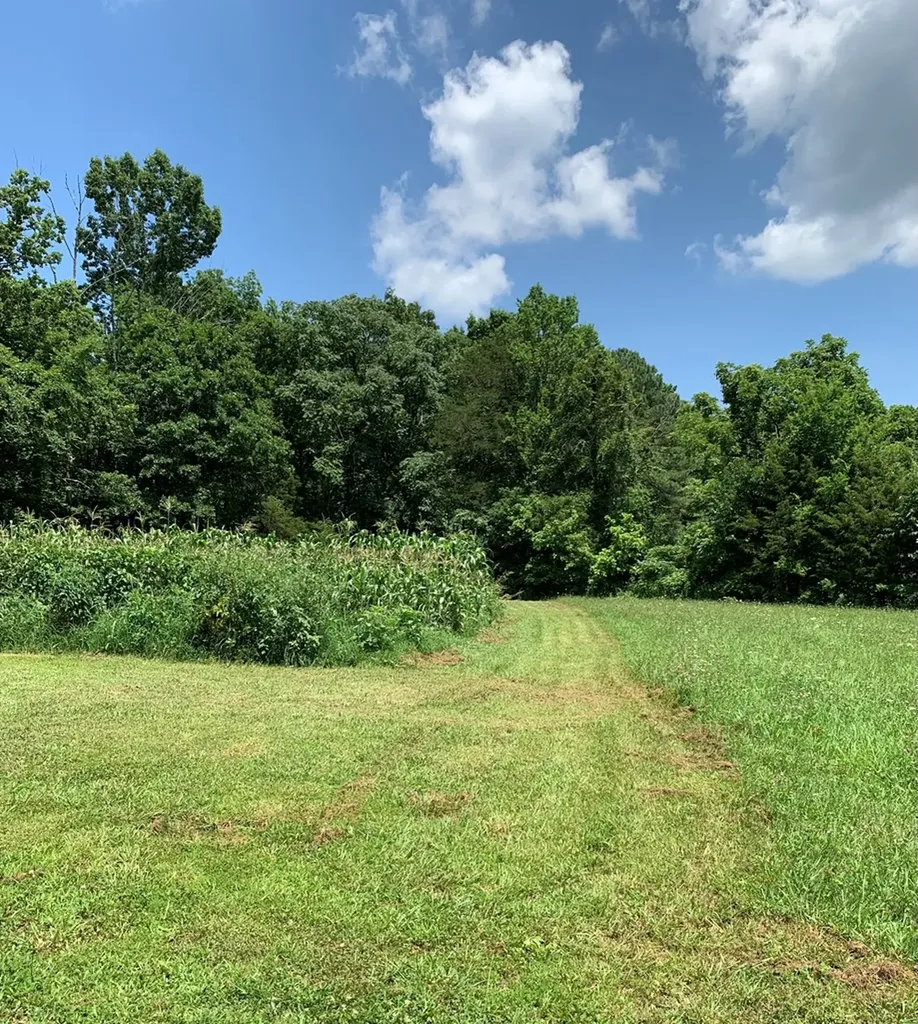282 Hootenauger Road Sparta TN 38583