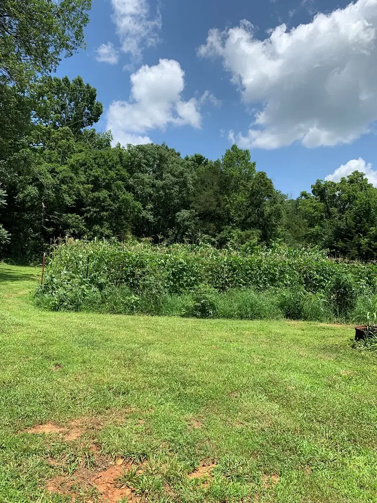 282 Hootenauger Road Sparta TN 38583