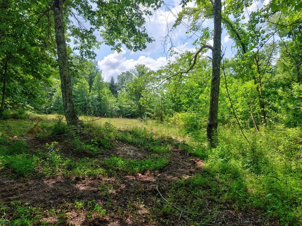 36ACRES Kentucky Drive Crossville TN 38572