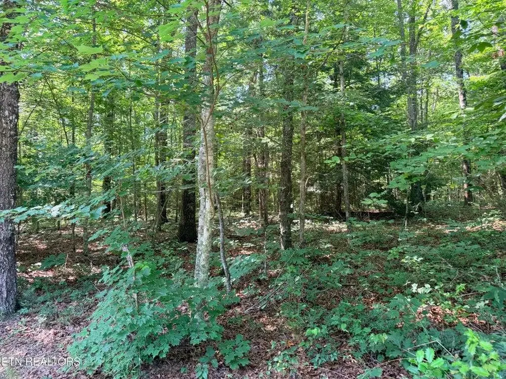 390 Georgee Road Jamestown TN 38556