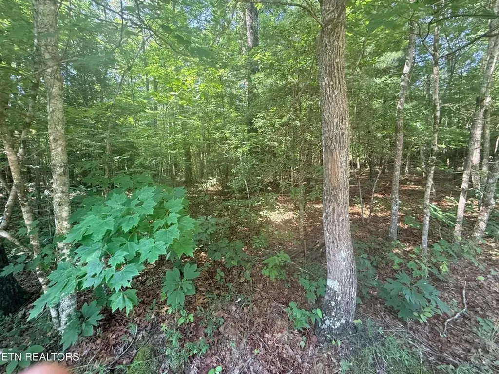 390 Georgee Road Jamestown TN 38556