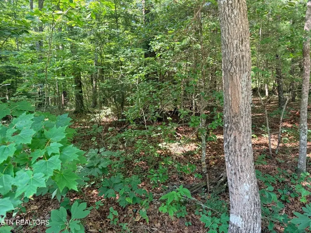 390 Georgee Road Jamestown TN 38556