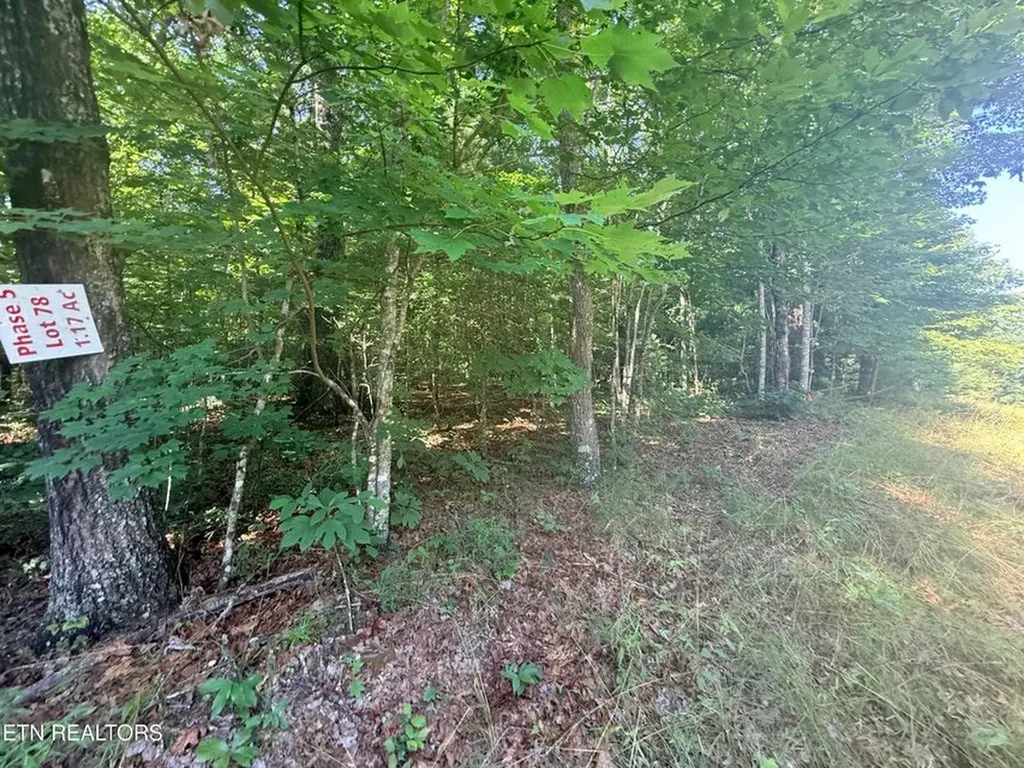 390 Georgee Road Jamestown TN 38556