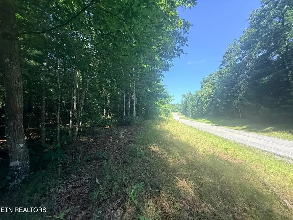 390 Georgee Road Jamestown TN 38556